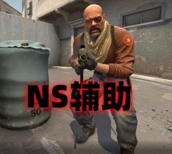 CS2NS辅助