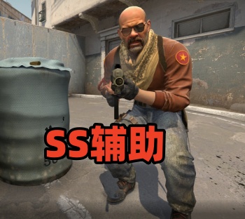 CS2SS辅助